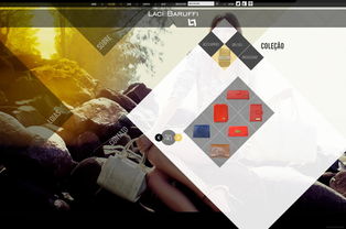 巴西Laci Baruffi 当女性皮革皮具邂逅菱形交叉艺术